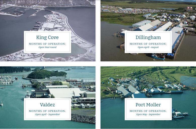 peter pan seafoods king cove Dodie Christman